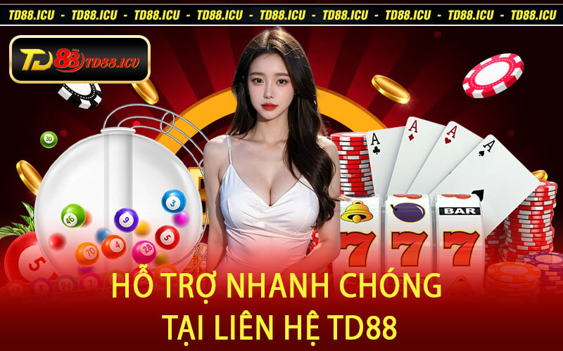 Hỗ Trợ Nhanh Chóng Tại Liên Hệ TD88